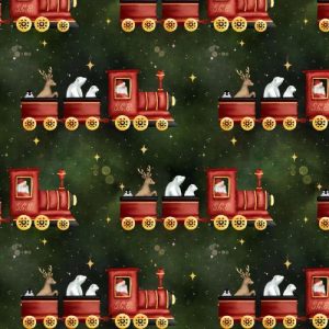 CF15 – Santa Claus Express Train