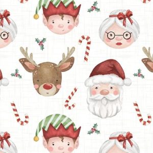 CF17 – Christmas Printed Fabric