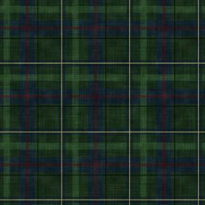 CF09 – Green Tartan Fabric