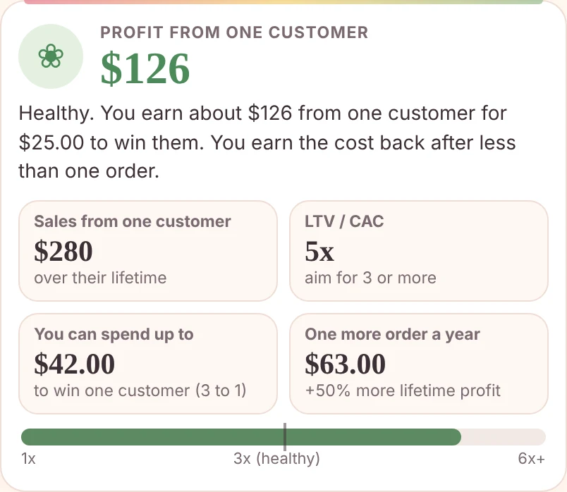 Cherrysmock Planner customer value result showing lifetime sales, profit from one customer and how much you can spend to win one