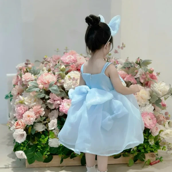 Blue Organza Bow Princess Dress