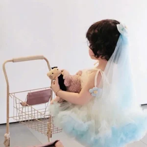 Blue Tutu Princess Dress