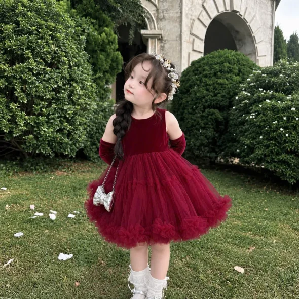 Burgundy Velvet Tulle Princess Dress