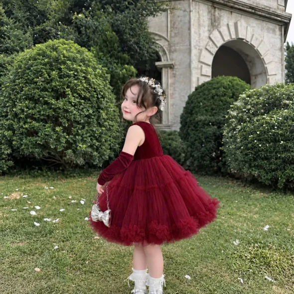 Burgundy Velvet Tulle Princess Dress