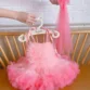 Pink Tutu Princess Dress - Cherrysmock wholesale, view 1