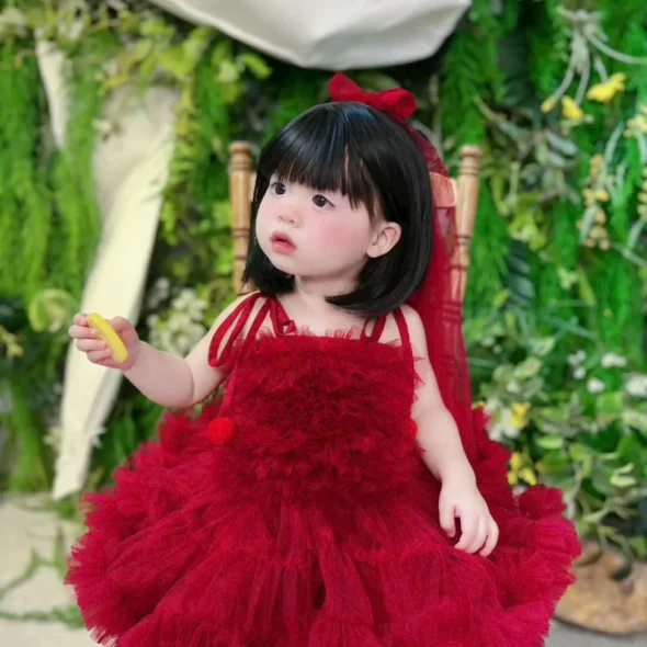 Red Ruffle Tulle Princess Dress